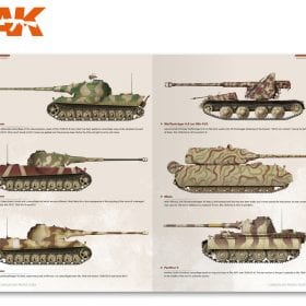 Buy 1945 German Colors. Camouflage Profile Guide online for 18,50€ | AK ...