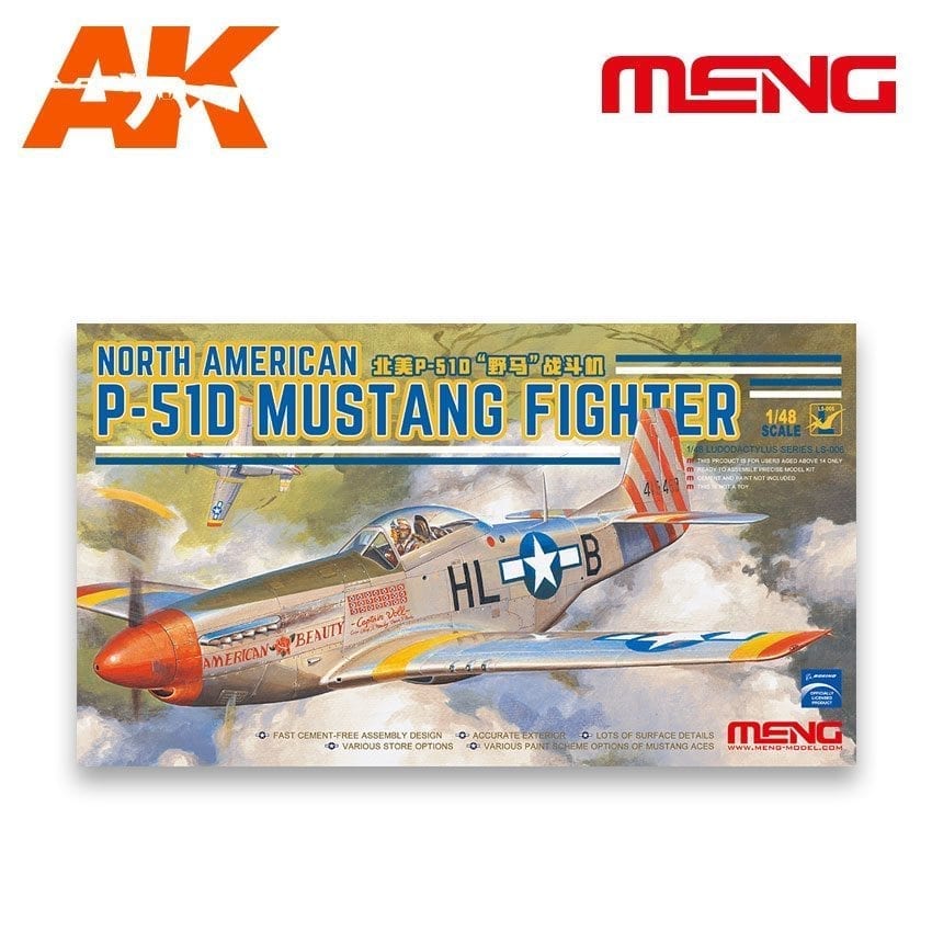 1/48 NORTH AMERICAN P-51D MUSTANG FIGHTER