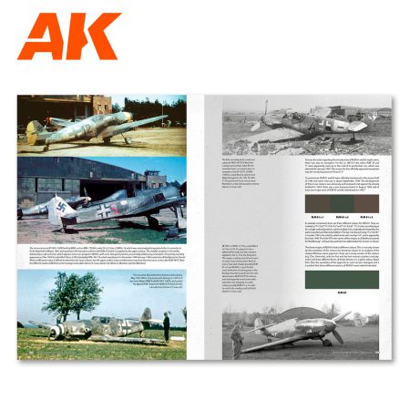AK290-2