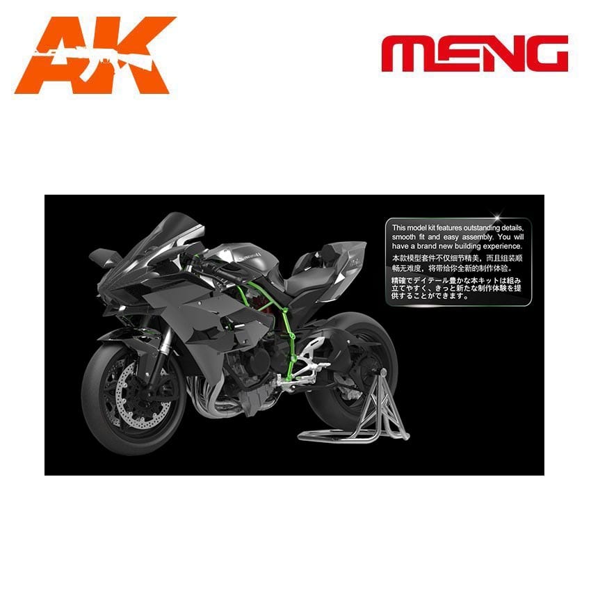 Ulykke sekvens nylon 1/9 Kawasaki Ninja H2R (Pre-colored Edition) | AK Interactive | The  weathering #Brand
