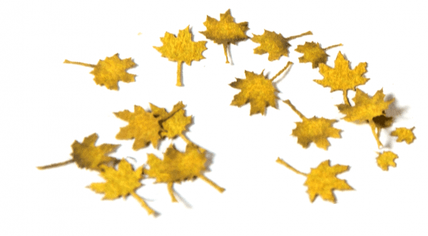 AK8103 maple autumn ak-interactive vegetation diorama