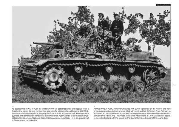 Cockle Panzer III on the Battlefield 2 Panzer-Modellbau/Bilder/Fotos/Buch/WW2 
