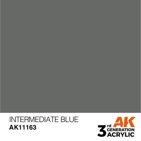 AK11163