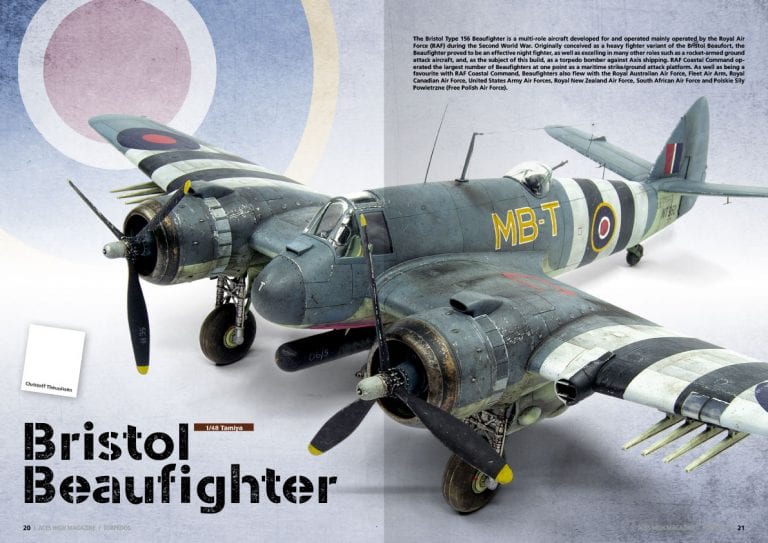 AHM-ISSUE-17-(20-21)