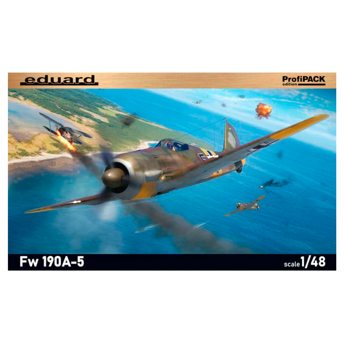 Fw 190A-5 1/48