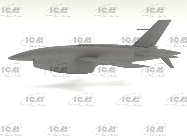ICM 48401 (12)