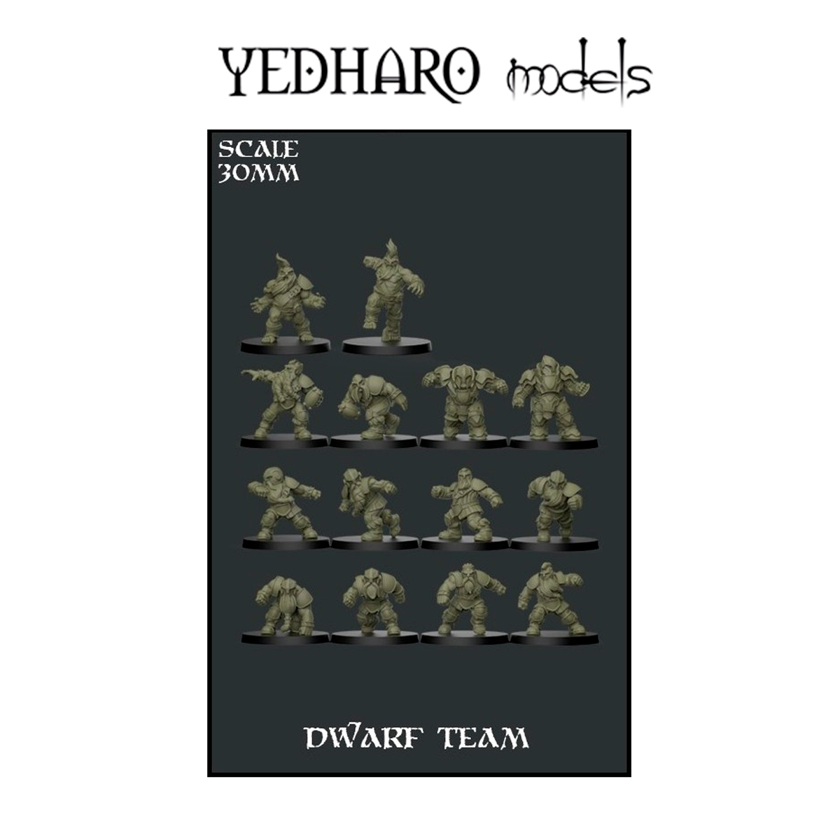 Dwarf Team Scale 30mm DWFFDT01