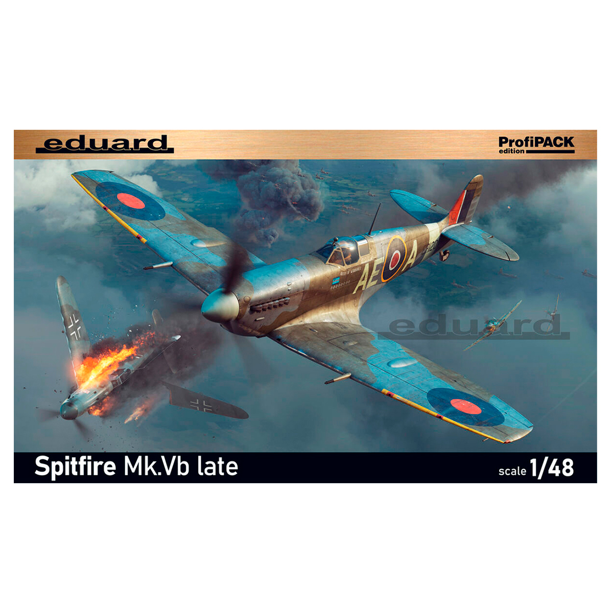 Spitfire Mk.Vb late 1/48