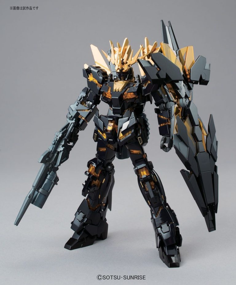 BAN58780_detail (1)