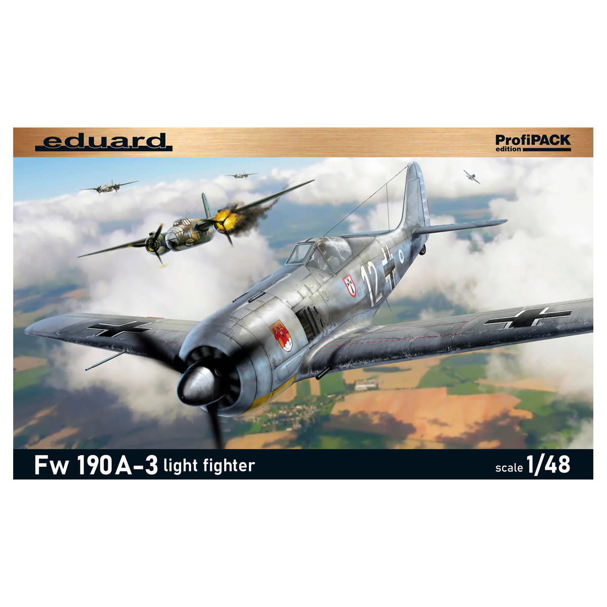 Fw 190A-3 light fighter 1/48