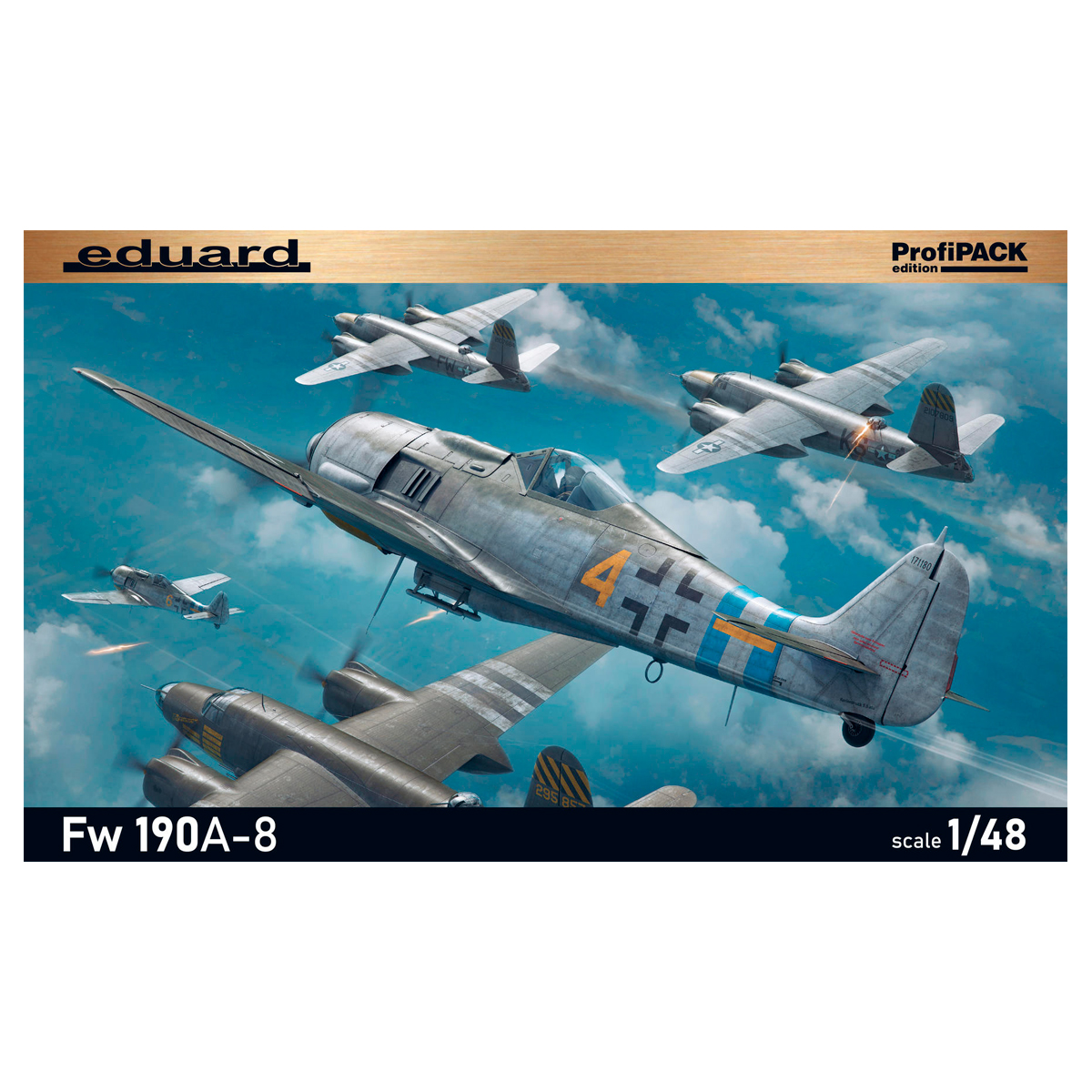 Fw 190A-8 1/48