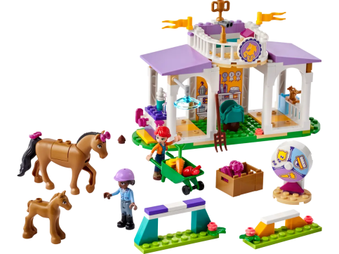 LEGO41746_details (1)