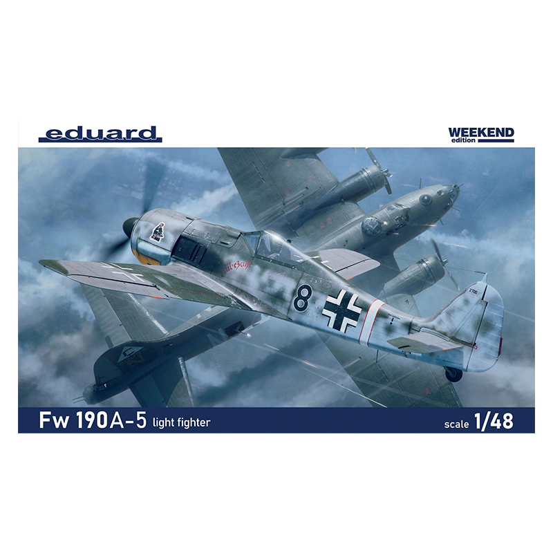 Fw 190A-5 light fighter 1/48