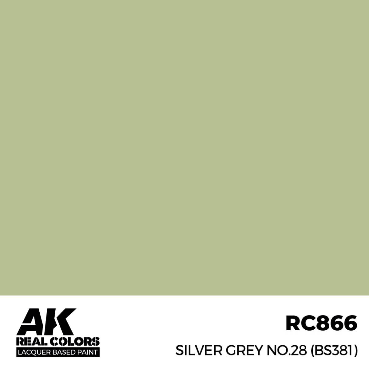 Silver Grey No.28 (BS381)