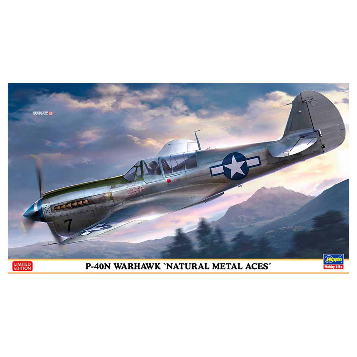 1/48 P-40N Warhawk ‘Natural Metal Aces’