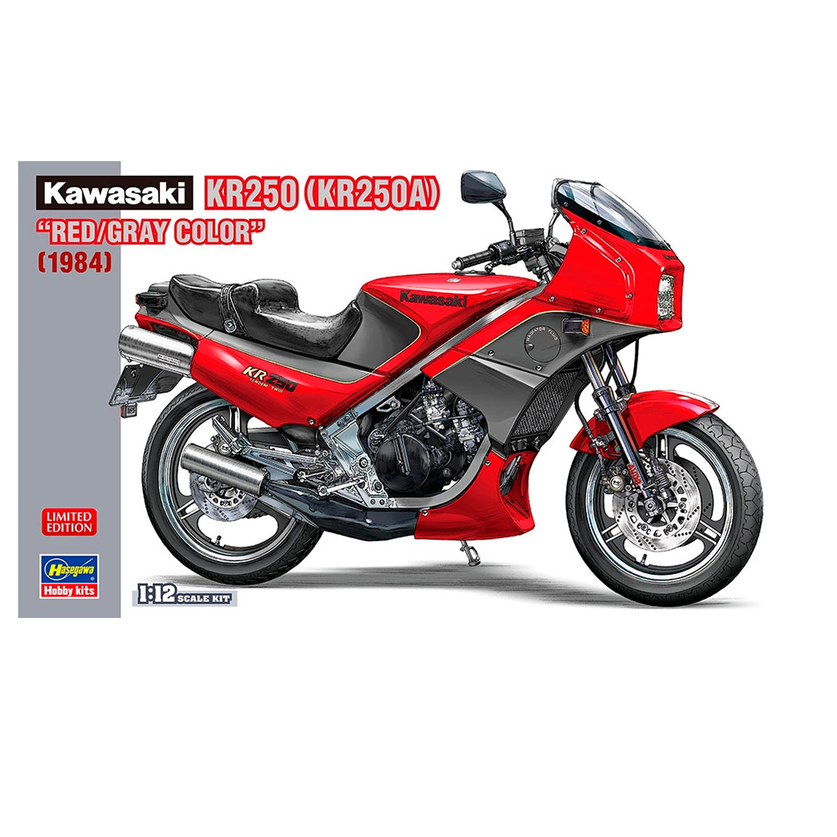 Hasegawa 1/12 Kawasaki KR250A Red/Gray