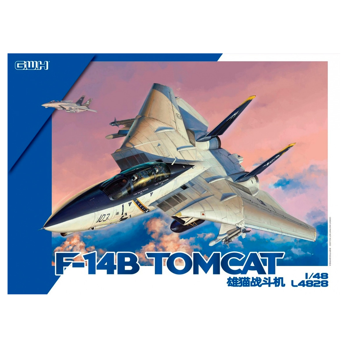 F-14B Tomcat 1/48