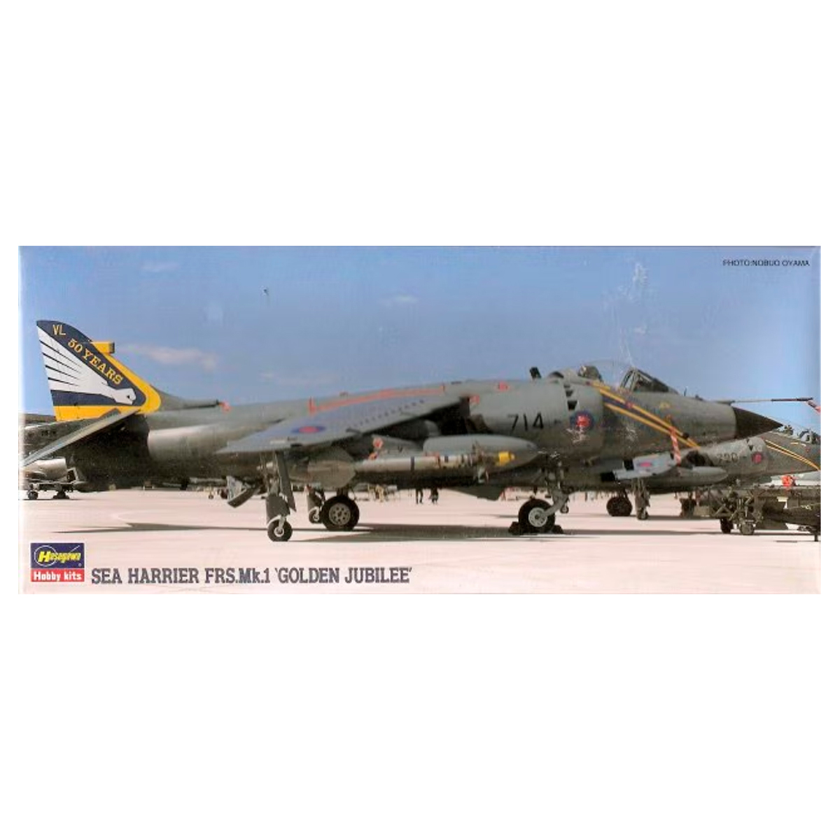 HASEGAWA 1/72 Sea Harrier FRS Mk.1 ‘Golden Jubilee’