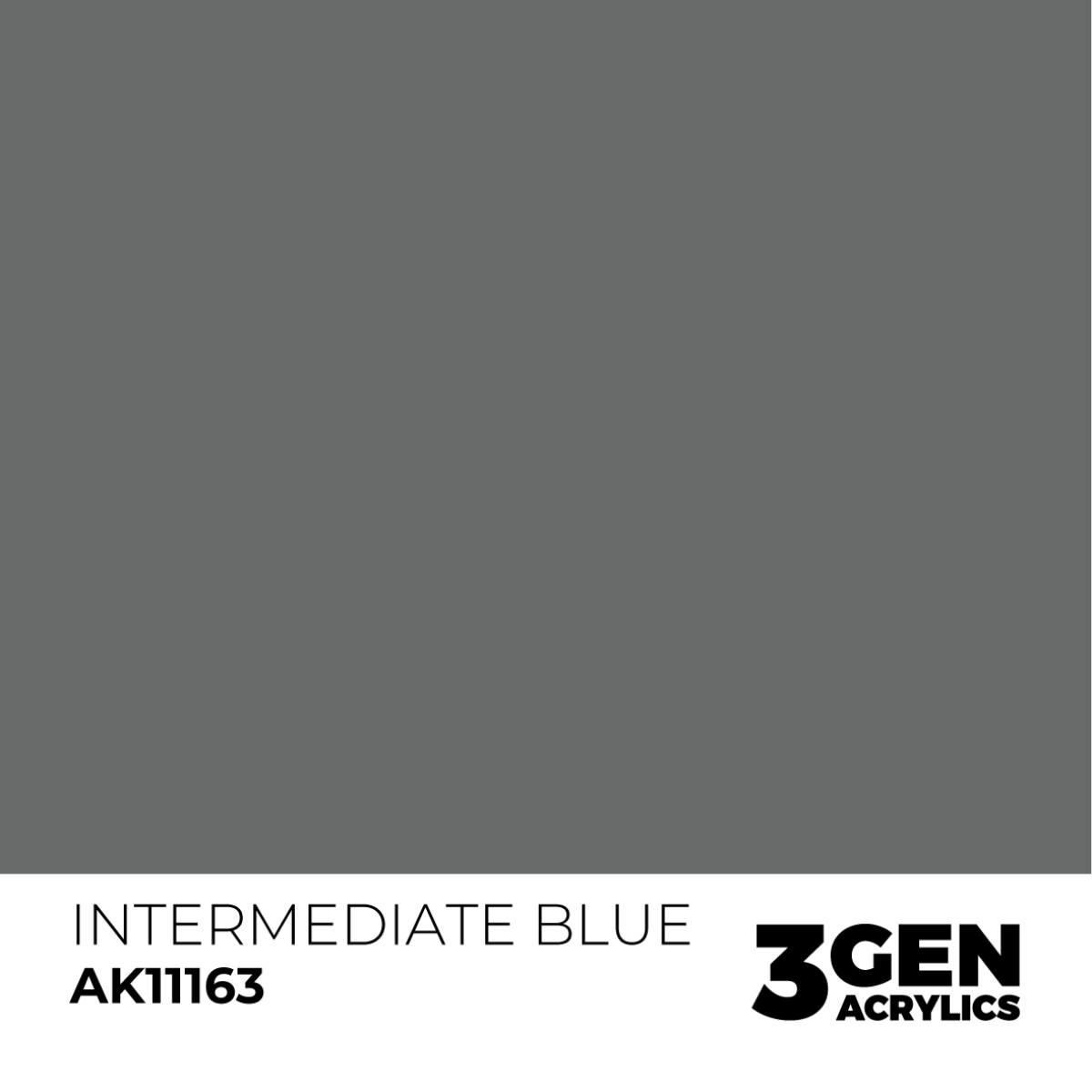 INTERMEDIATE BLUE – STANDARD