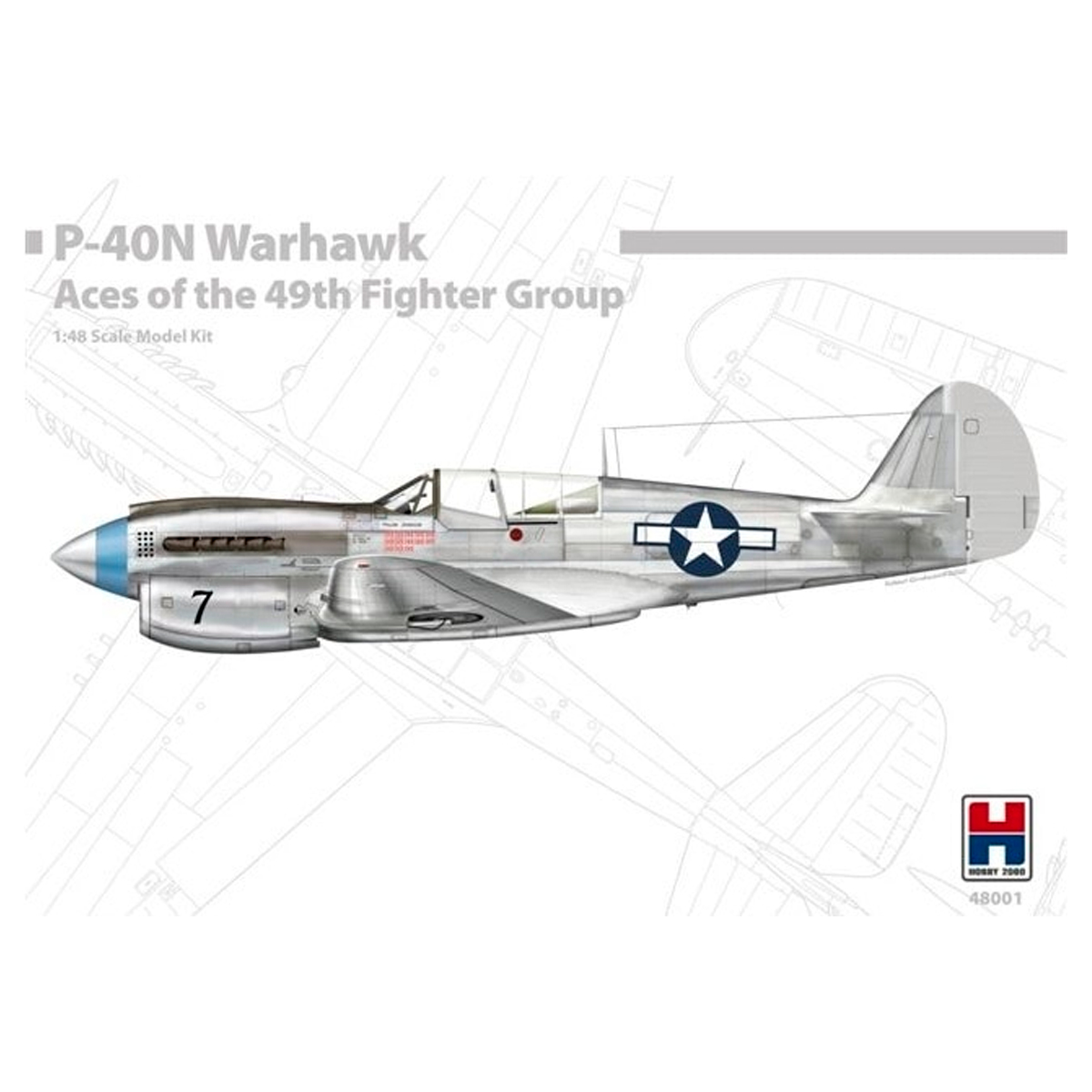 1/48 P-40N Warhawk Aces of The 49th Fighter Group