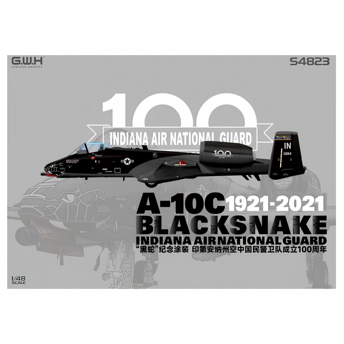 A-10C Blacksnake Indiana Air National Guard 1/48