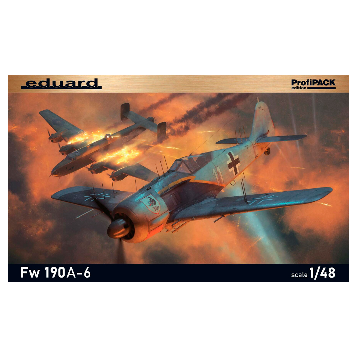Fw 190A-6 1/48