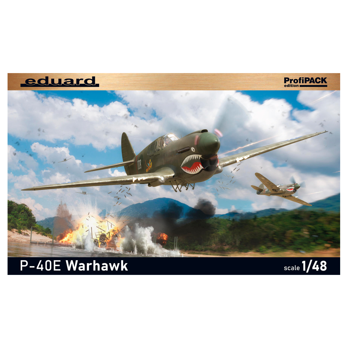 P-40E Warhawk 1/48