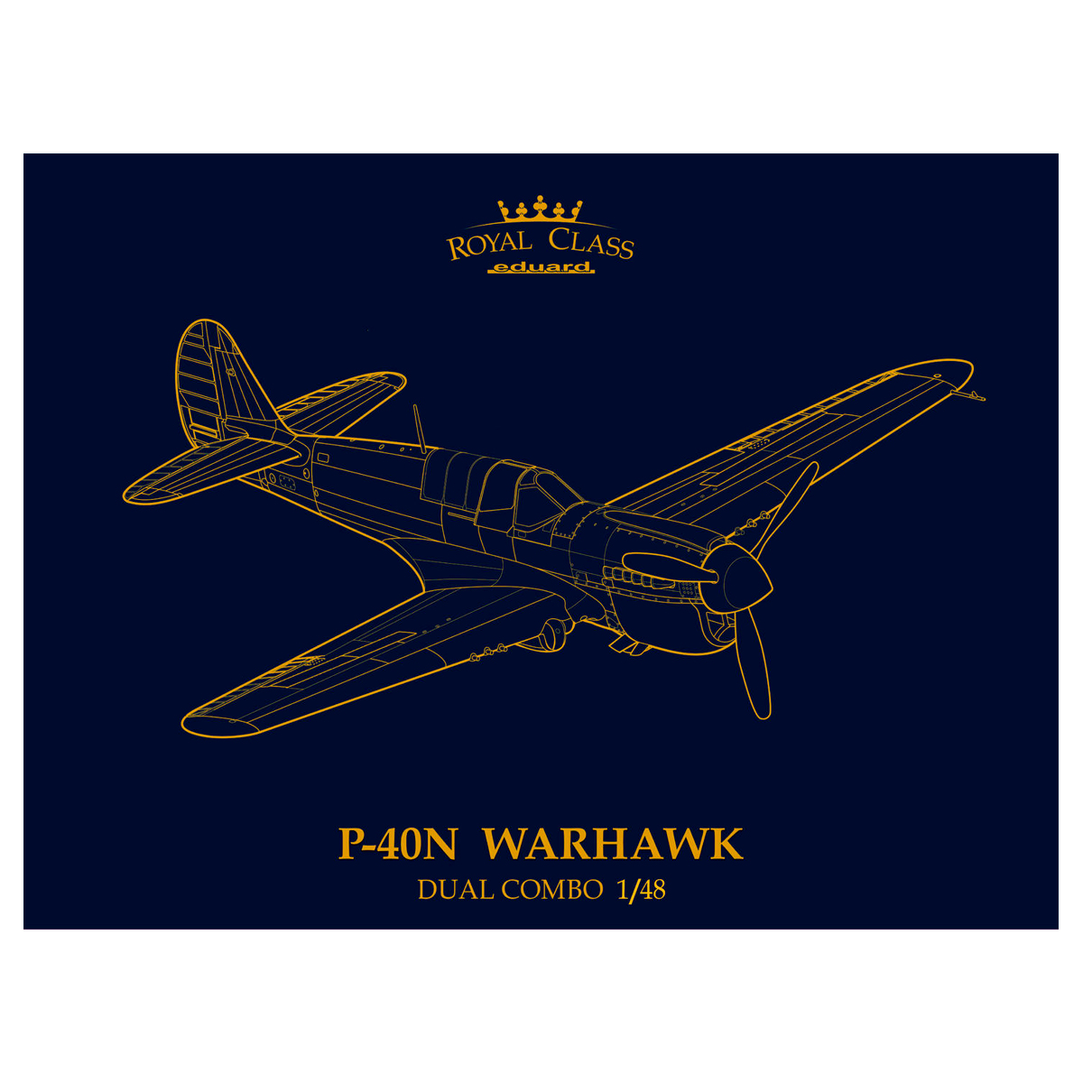 P-40N WARHAWK ROYAL CLASS DUAL COMBO 1/48
