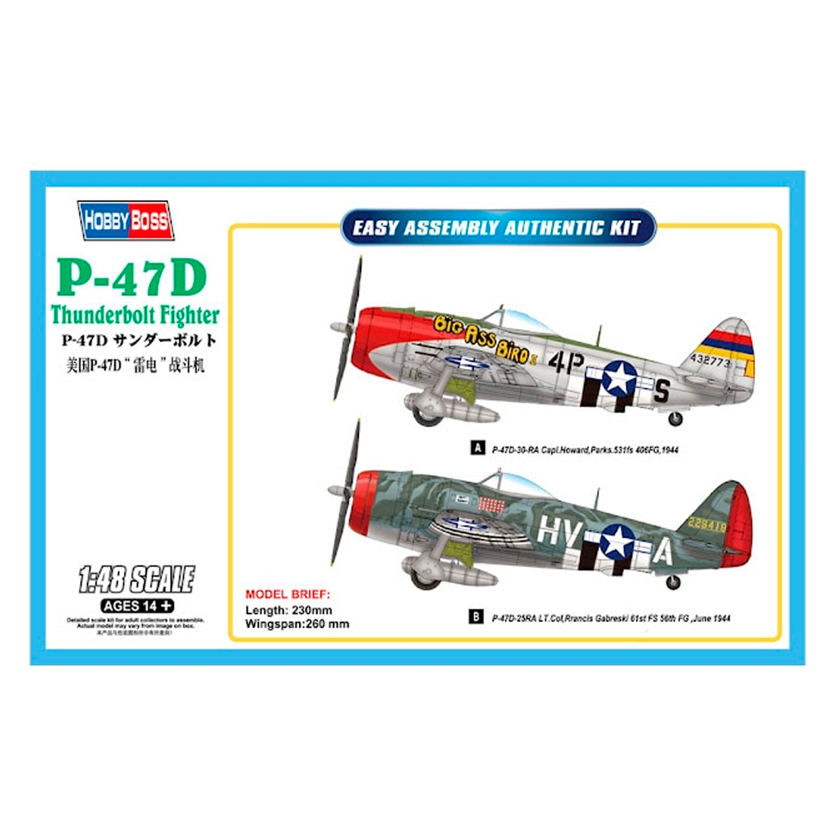 1/48 P-47D Thunderbolt Fighter