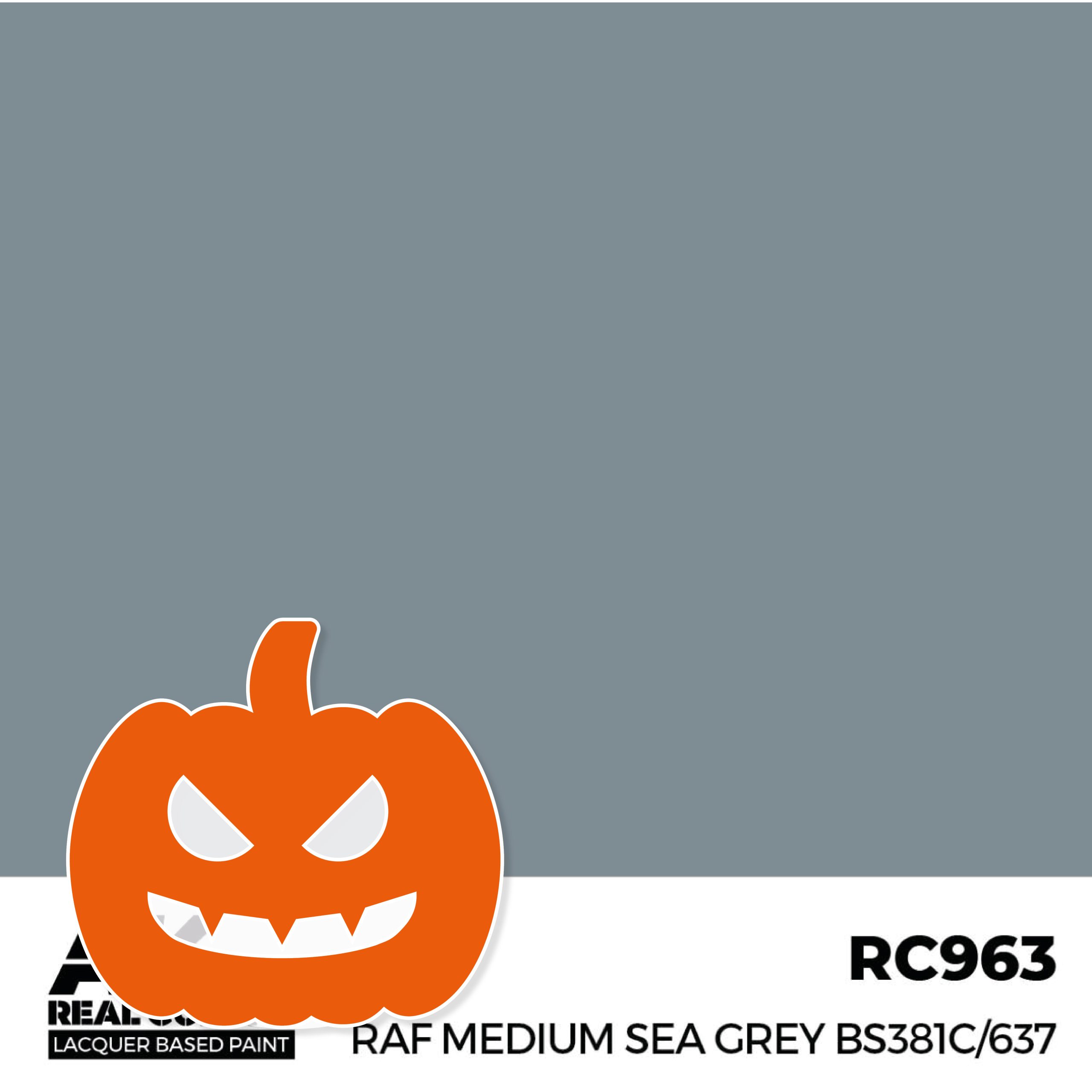 RAF Medium Sea Grey BS381C/637