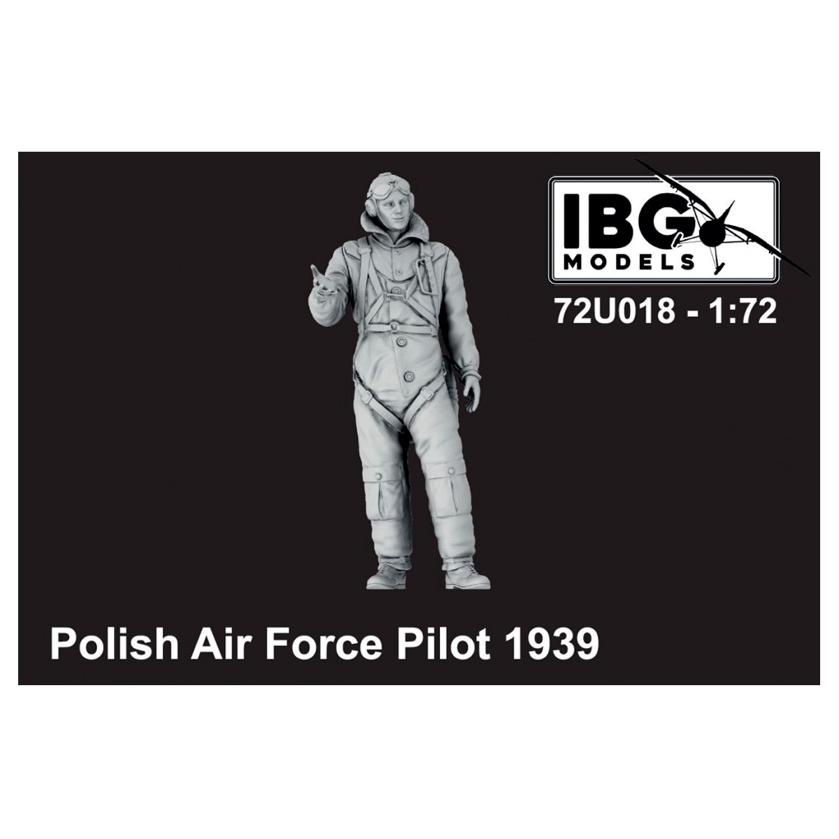 1/72 Polish Air Force Pilot 1939
