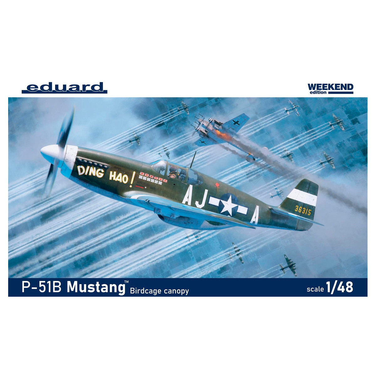 1/48 P-51B/C Mustang Birdcage canopy