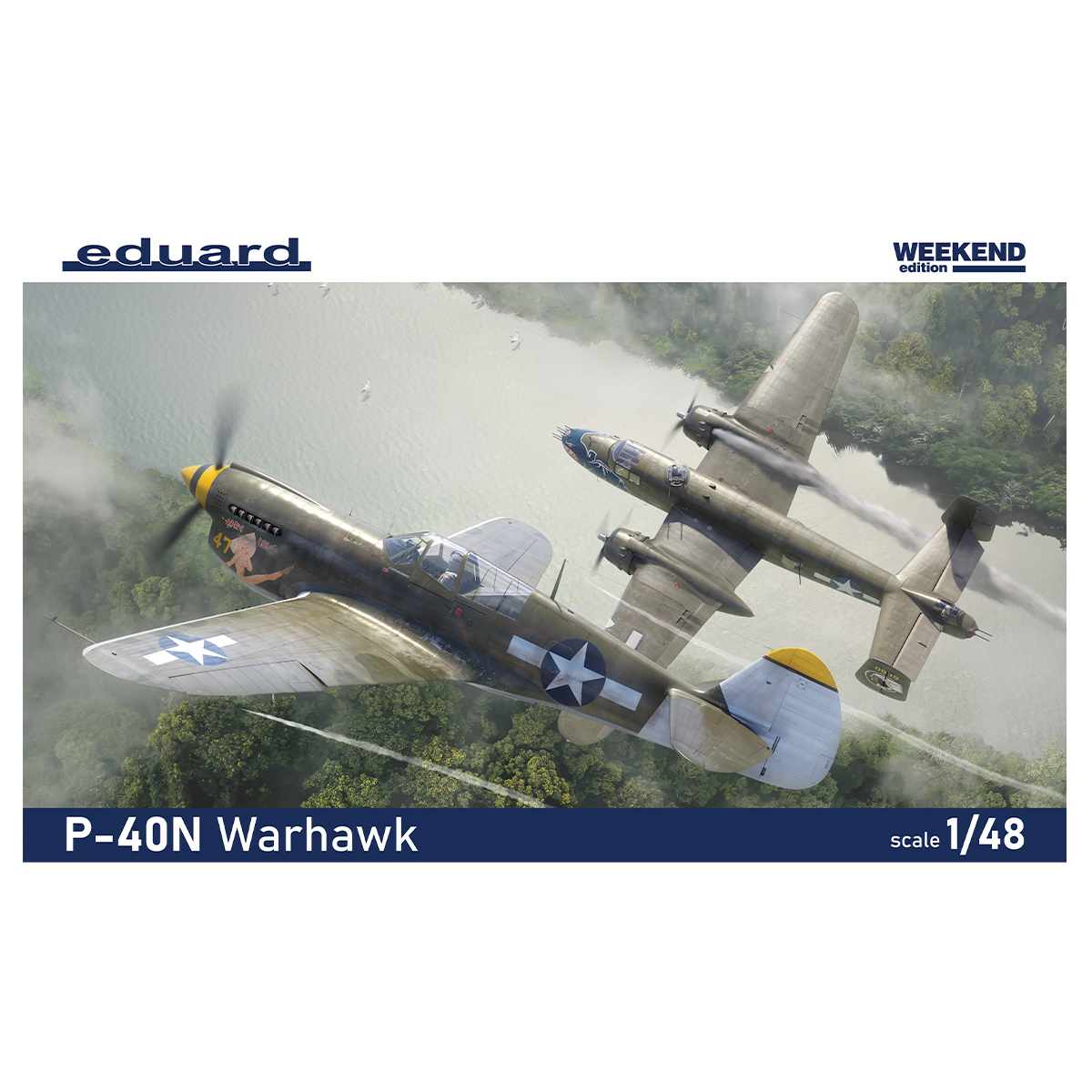 1/48 P-40N Warhawk