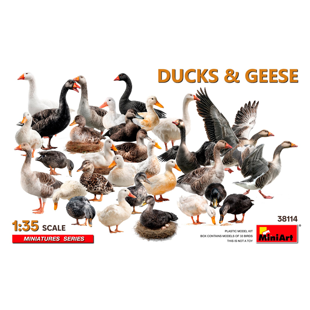 1/35 Ducks & Geese