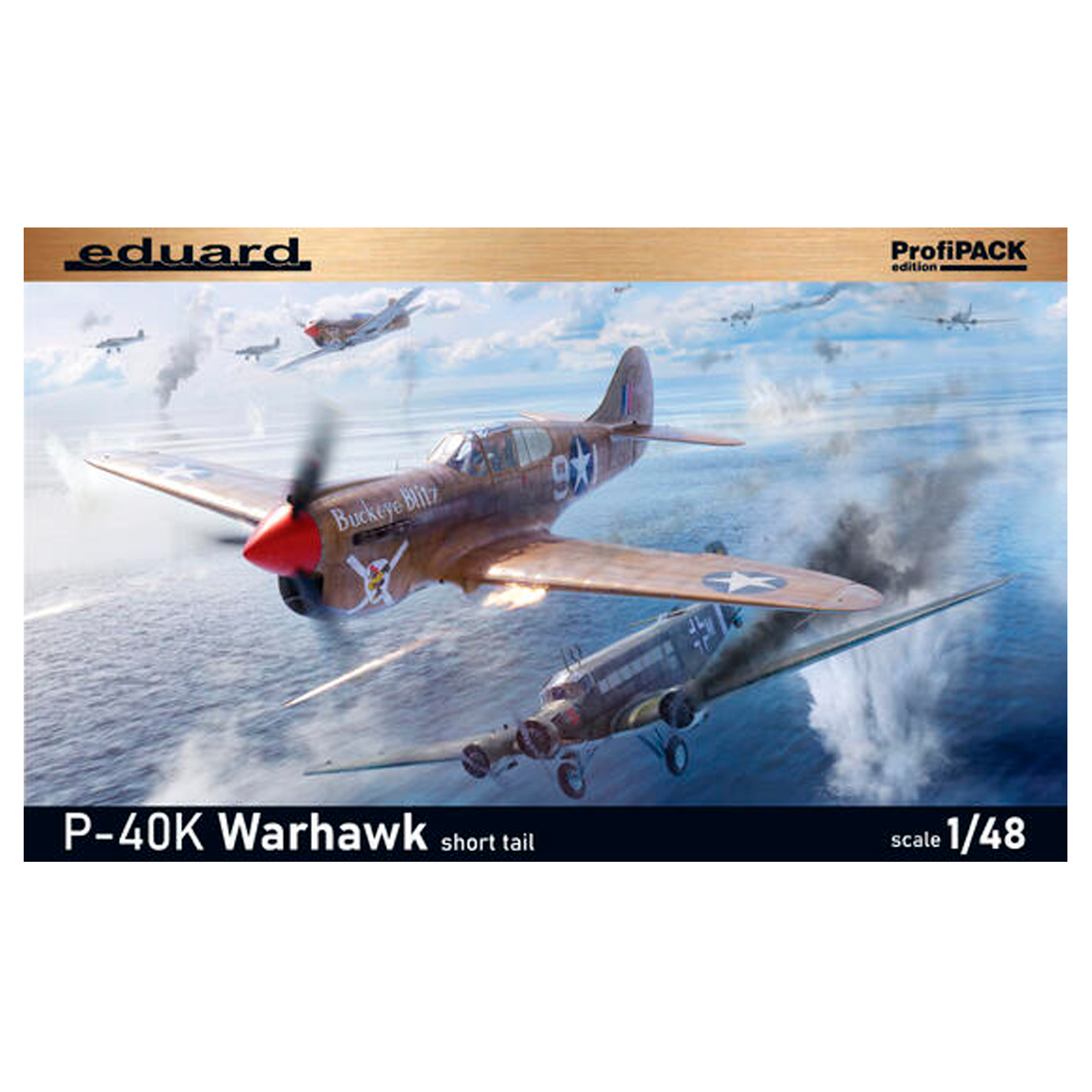 1/48 P-40K short tail