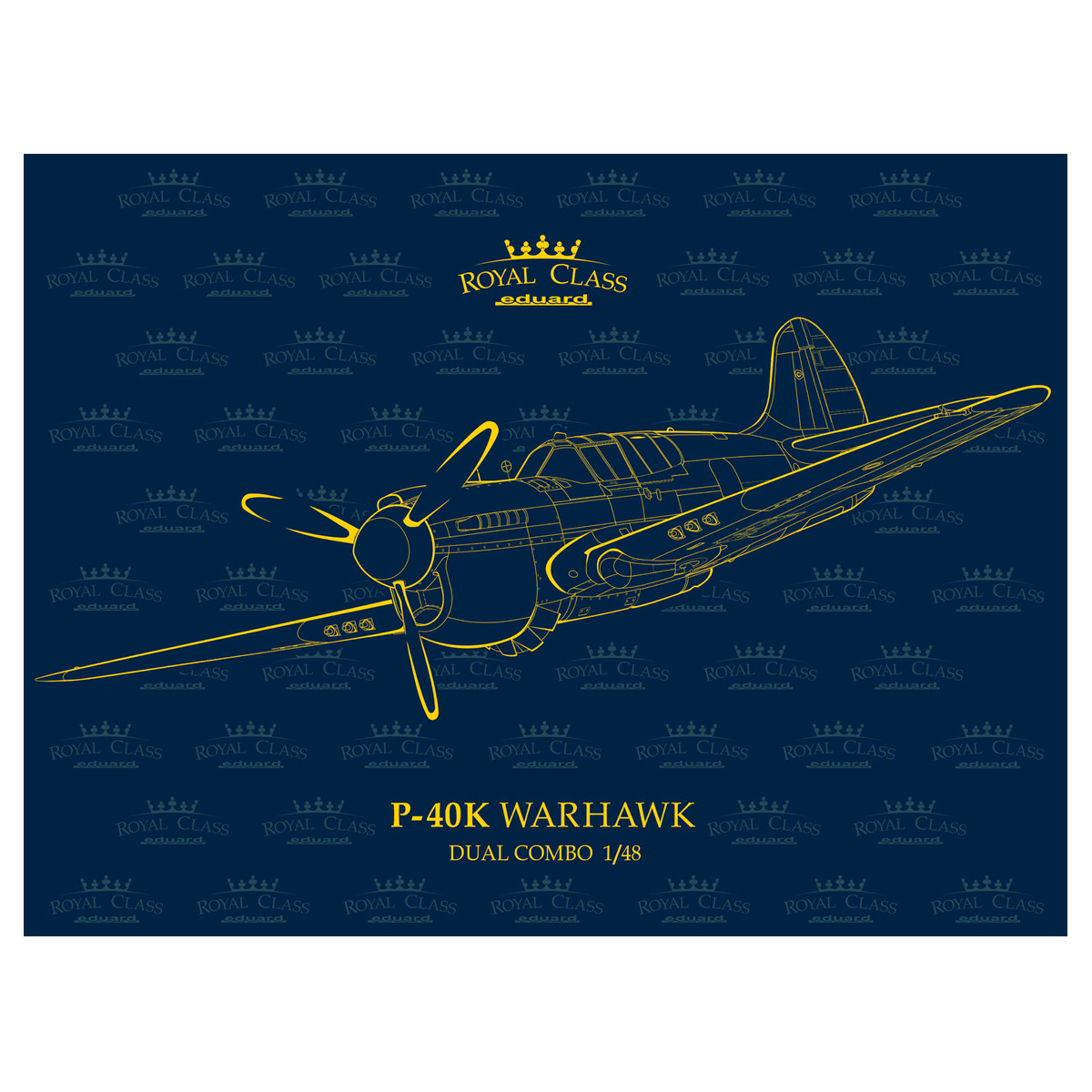 1/48 P-40K Warhawk DUAL COMBO