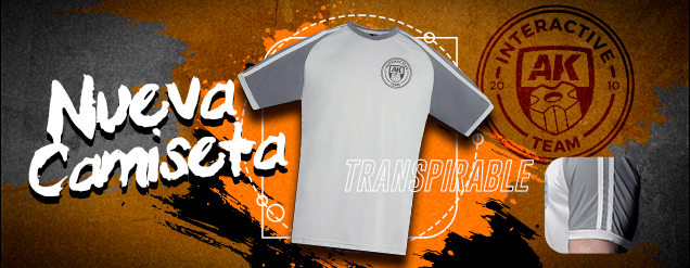 CAMISETA DEPORTIVA GRIS AK INTERACTIVE TEAM