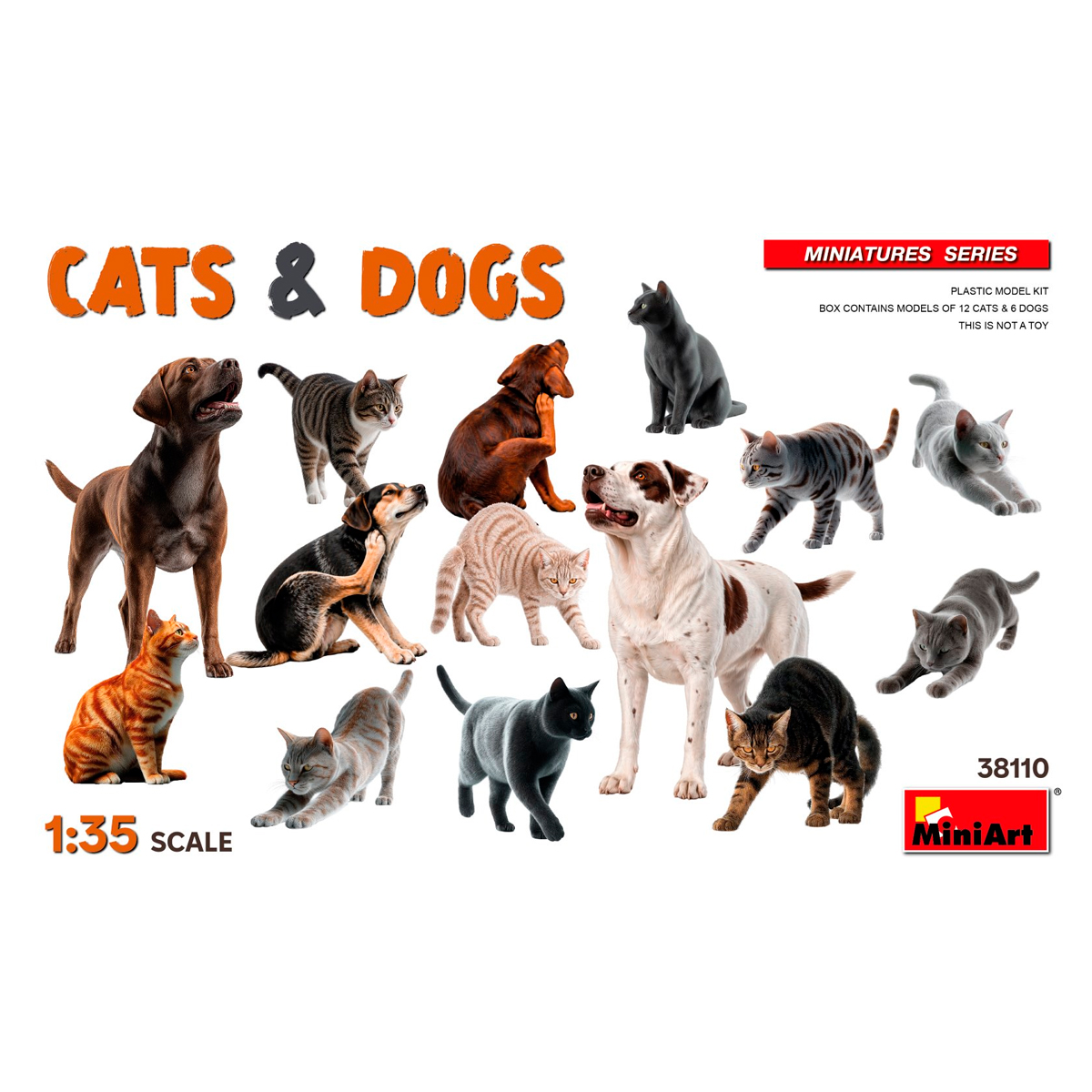1/35 Cats & Dogs